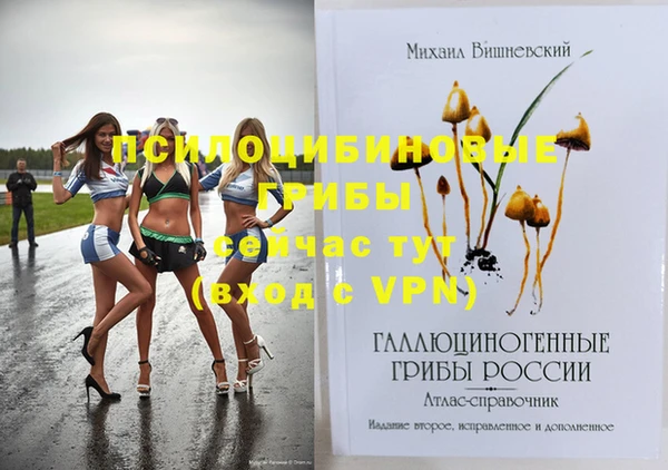 гашик Нефтегорск