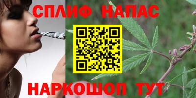 стаф Жуковский