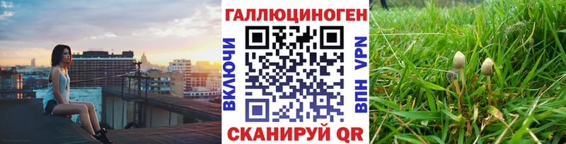 купить наркотик  Ялта  Псилоцибиновые грибы Psilocybe 