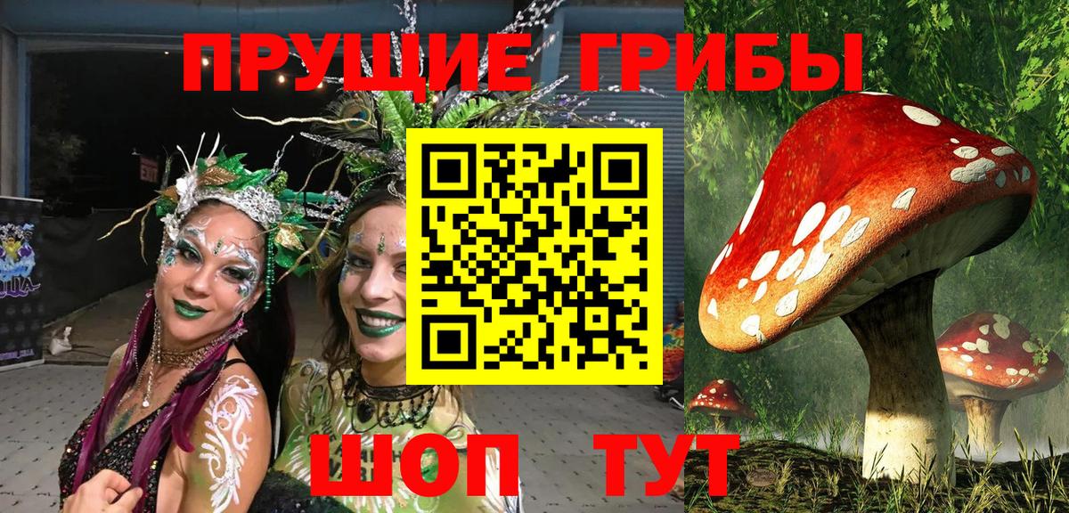 Псилоцибиновые грибы Psilocybe Ялта