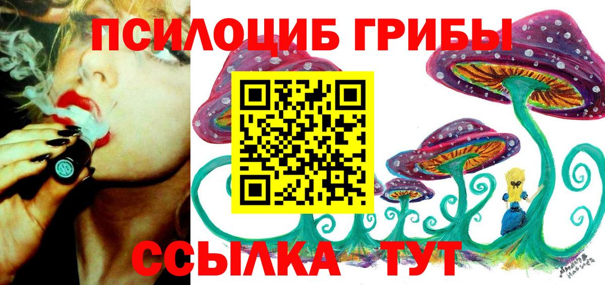 Галлюциногенные грибы Psilocybine cubensis  цена   Ялта  Вход с VPN 